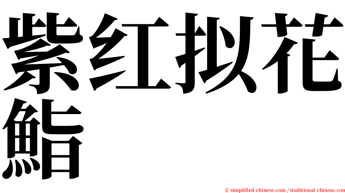 紫红拟花鮨 serif font