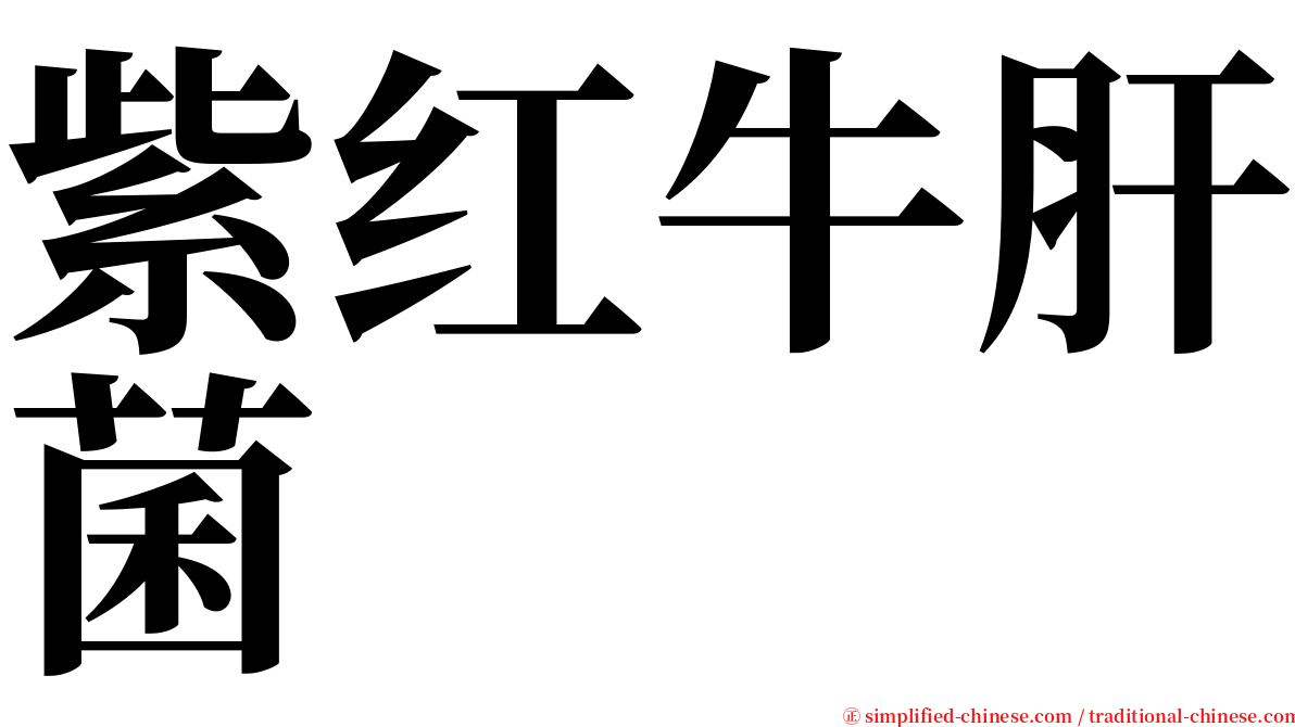 紫红牛肝菌 serif font