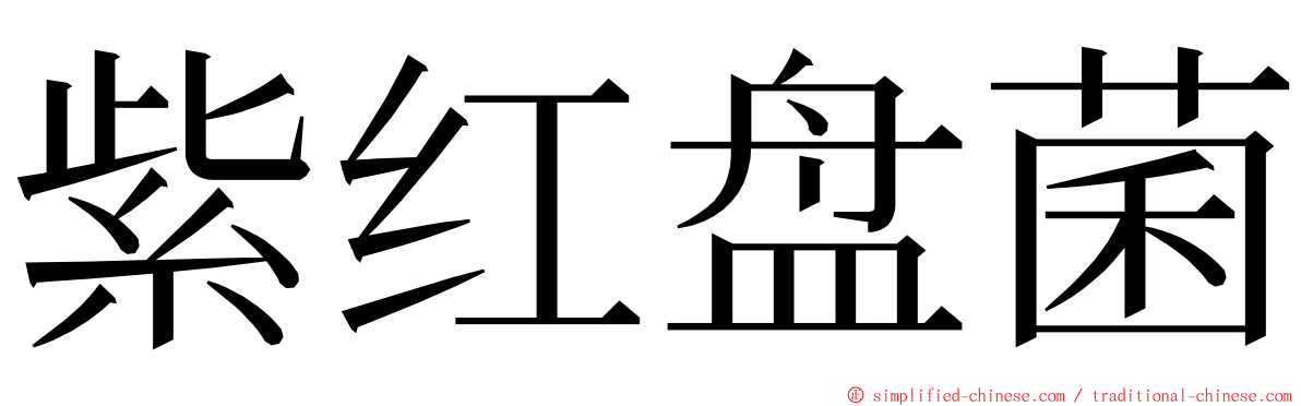 紫红盘菌 ming font