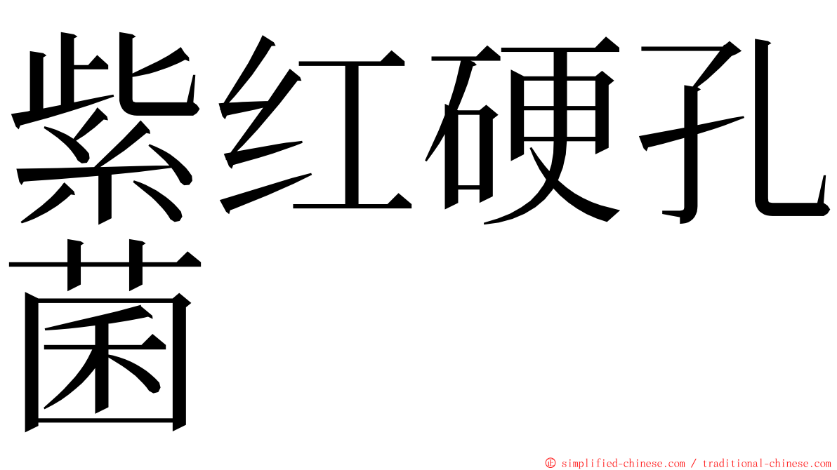 紫红硬孔菌 ming font