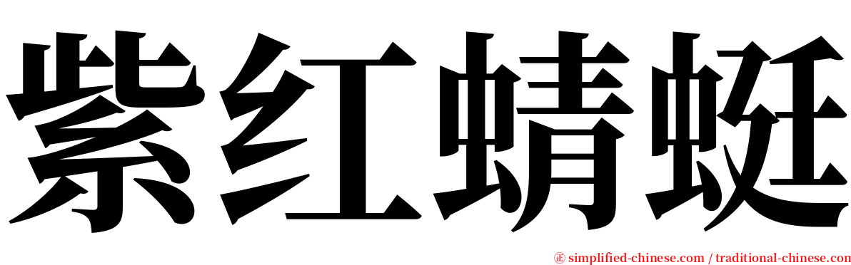 紫红蜻蜓 serif font