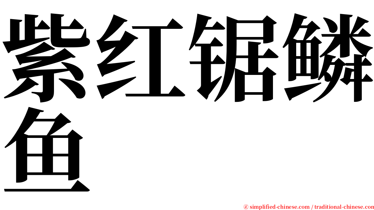 紫红锯鳞鱼 serif font