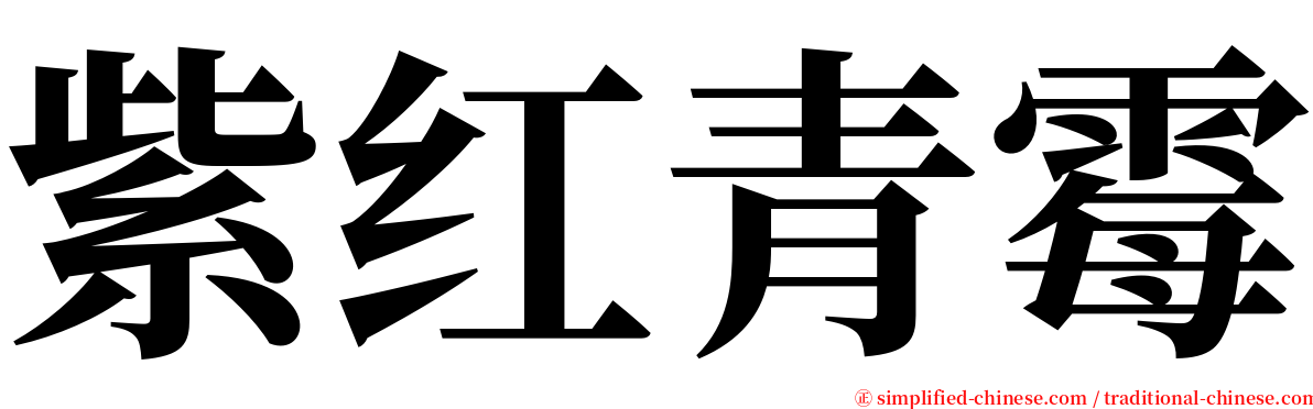 紫红青霉 serif font