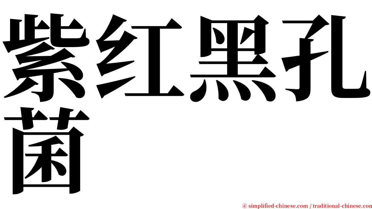 紫红黑孔菌 serif font