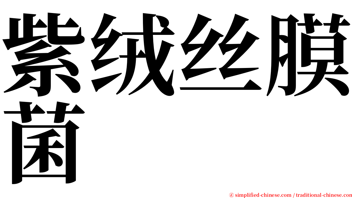 紫绒丝膜菌 serif font