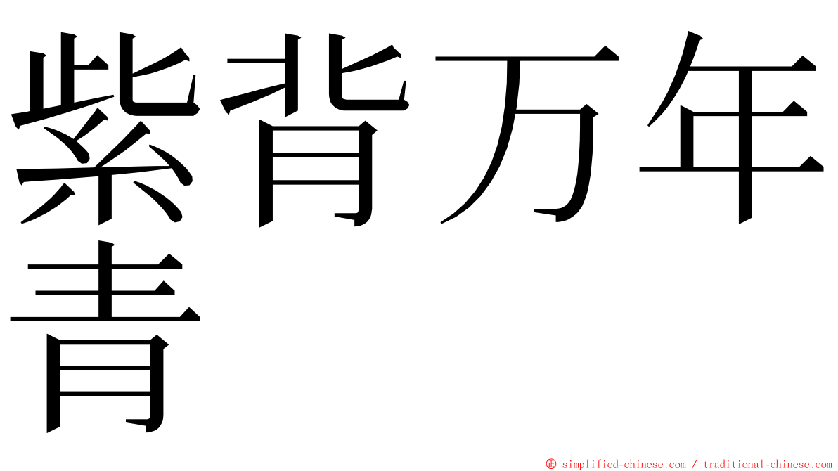 紫背万年青 ming font