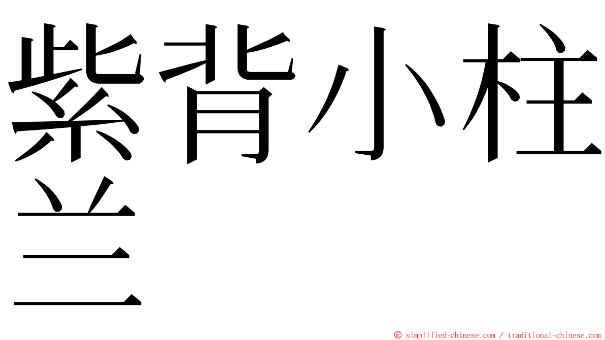 紫背小柱兰 ming font