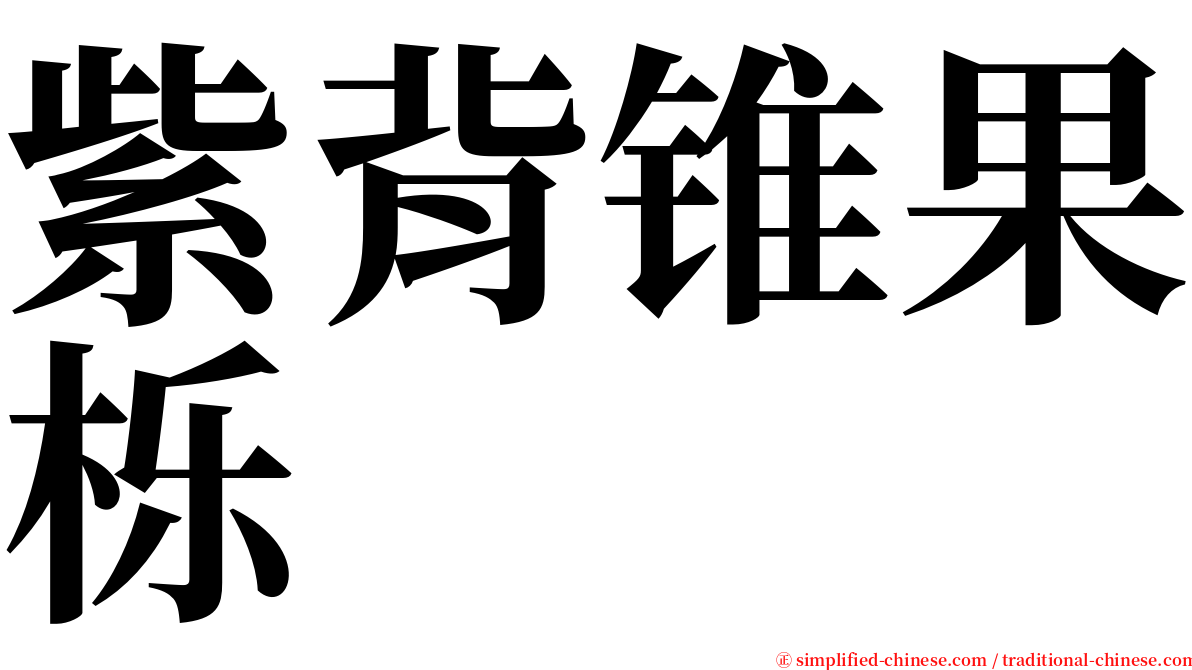 紫背锥果栎 serif font