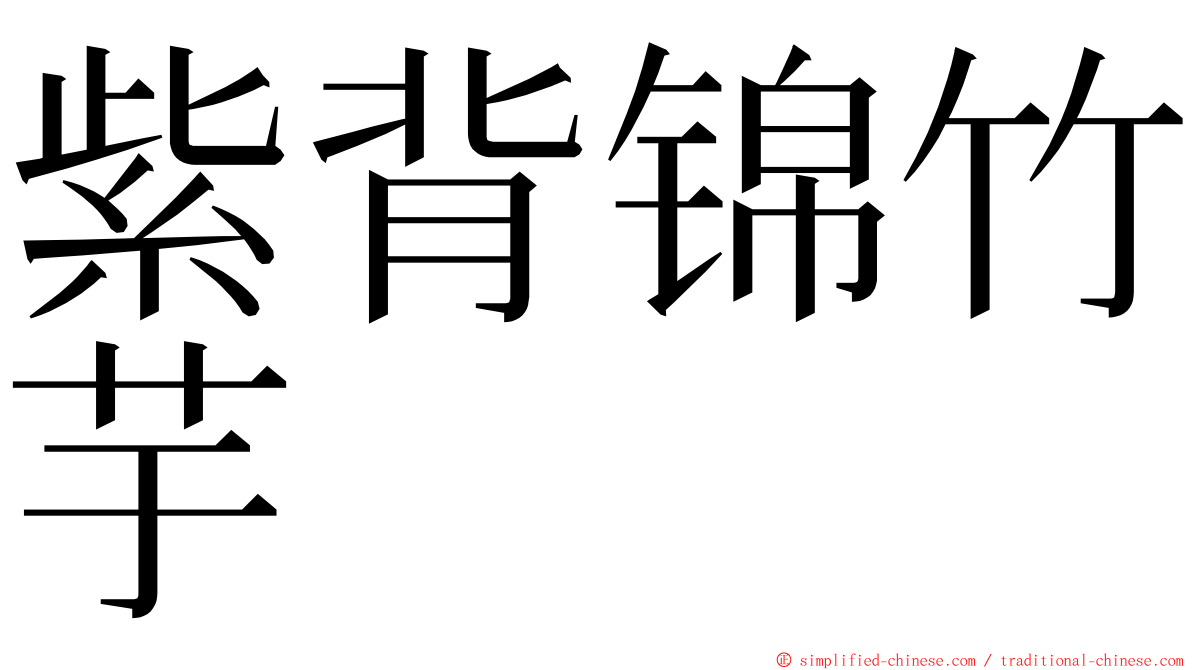 紫背锦竹芋 ming font