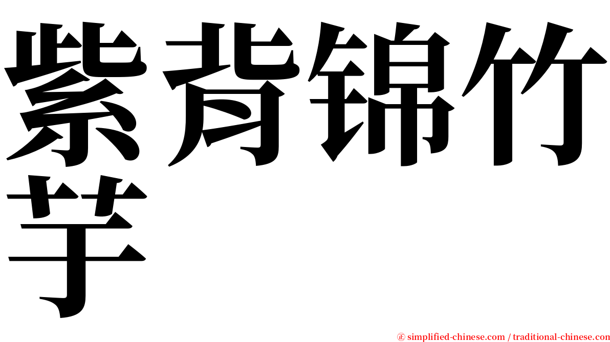 紫背锦竹芋 serif font