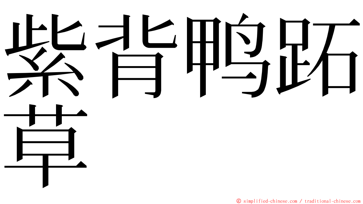 紫背鸭跖草 ming font