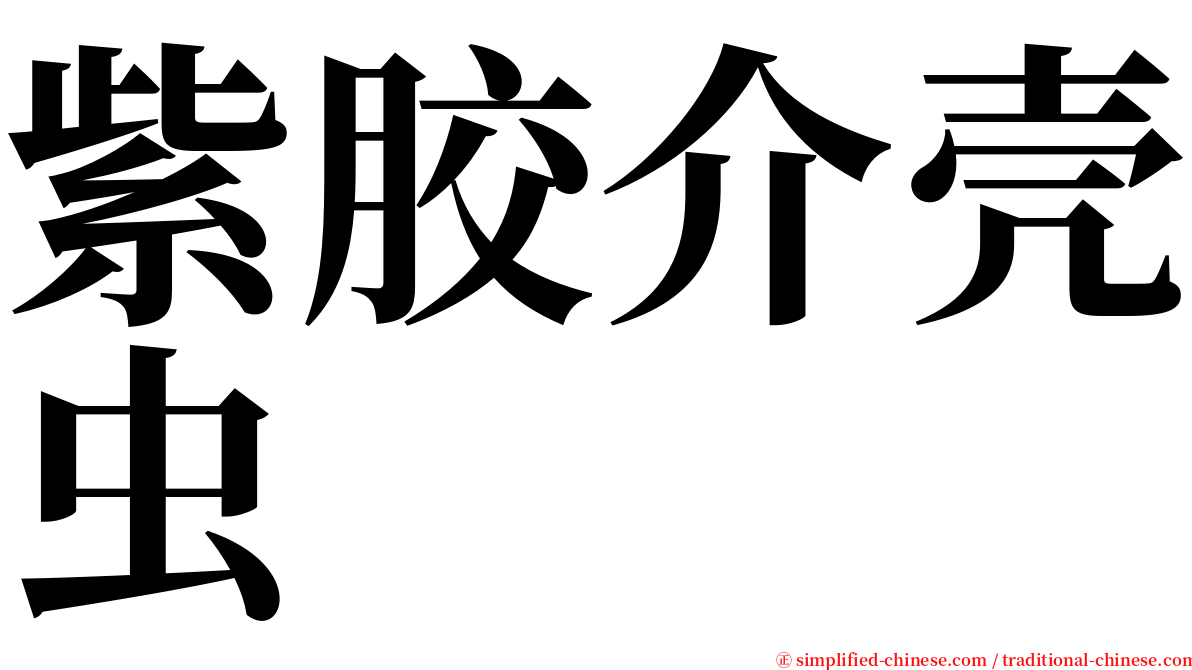 紫胶介壳虫 serif font