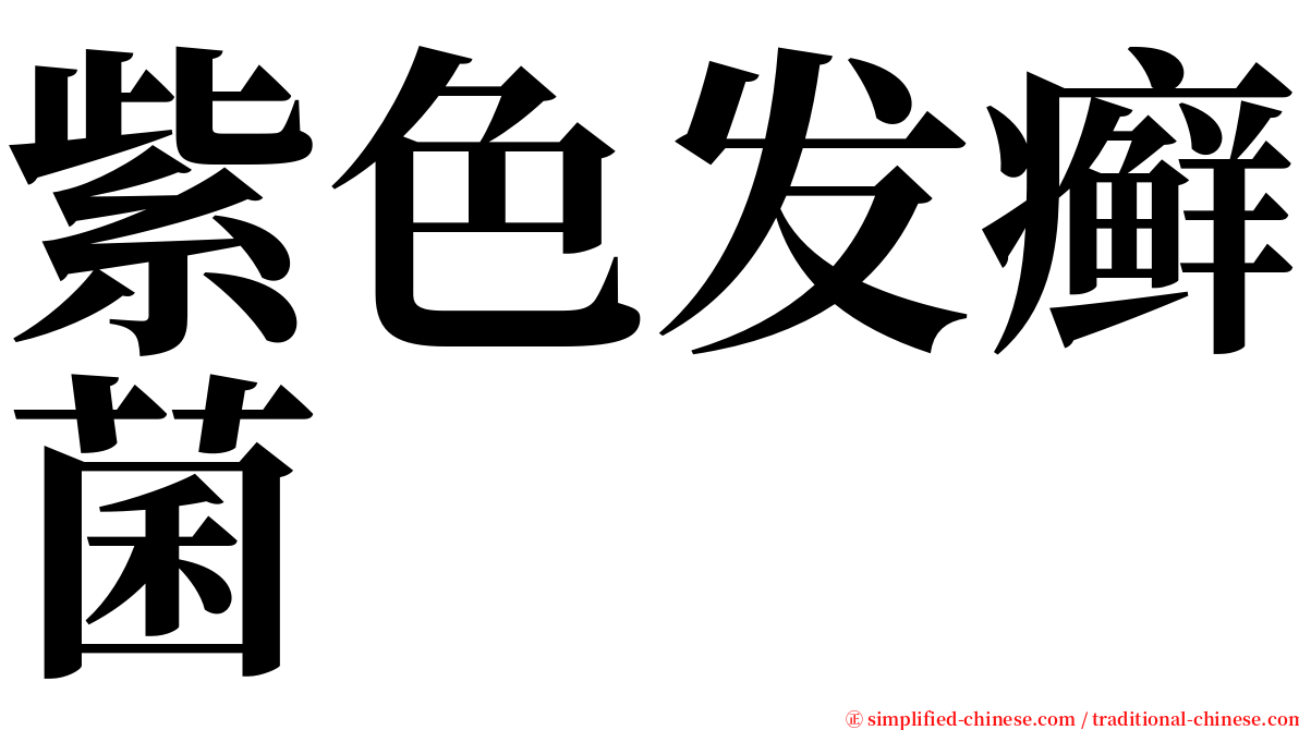 紫色发癣菌 serif font