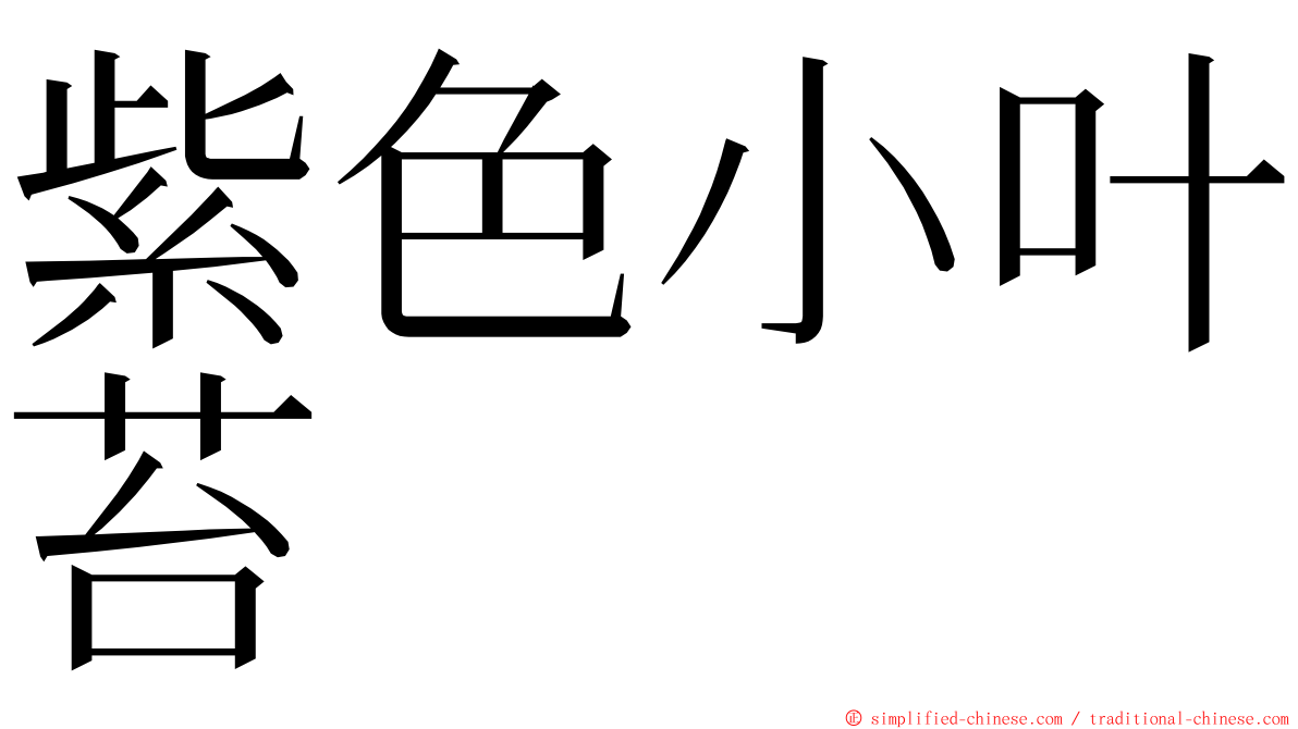 紫色小叶苔 ming font