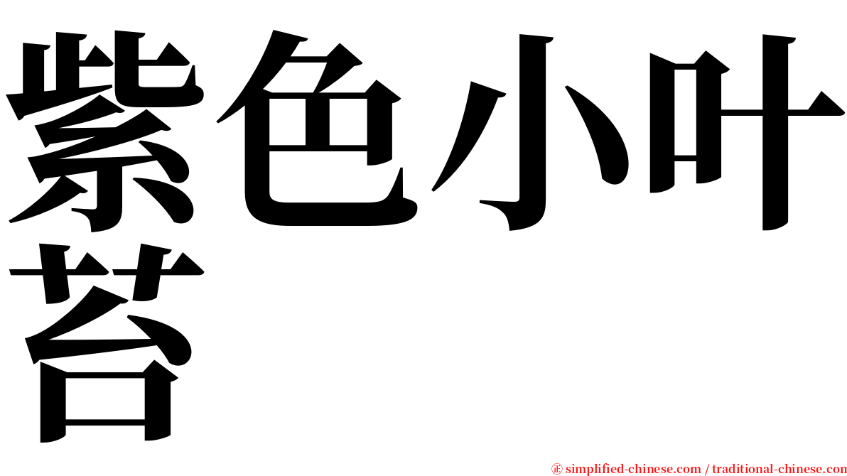 紫色小叶苔 serif font