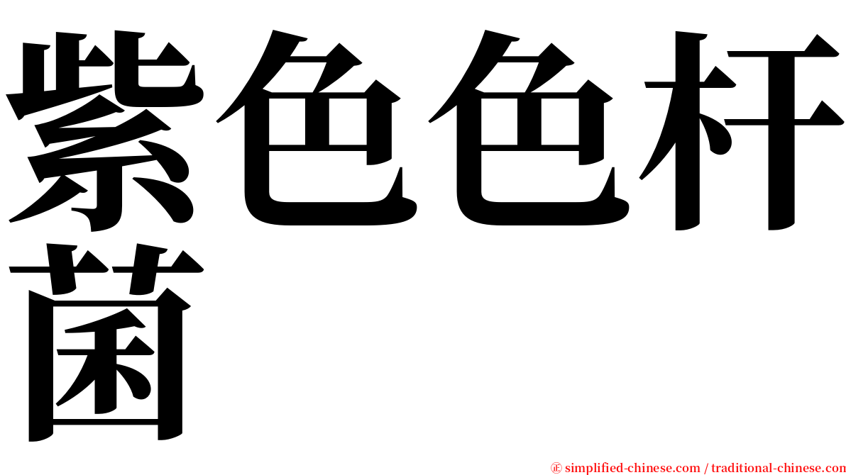 紫色色杆菌 serif font