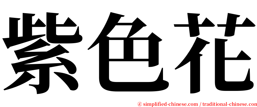 紫色花 serif font