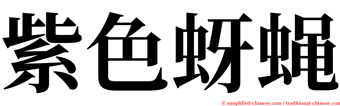 紫色蚜蝇 serif font