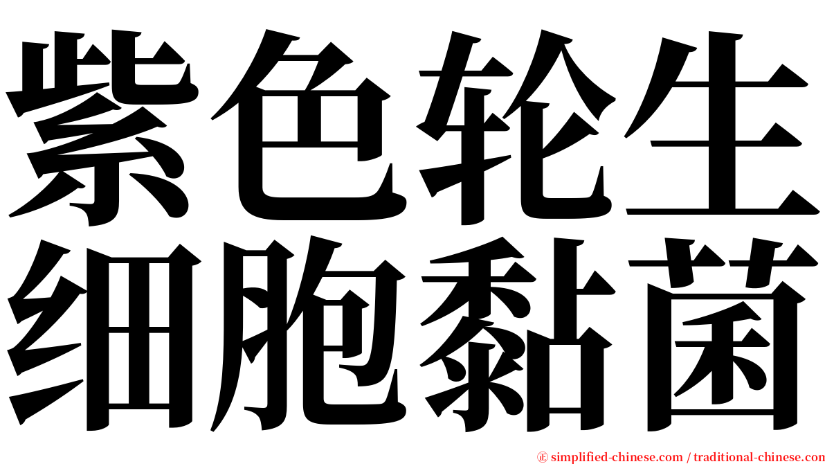 紫色轮生细胞黏菌 serif font