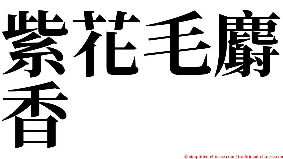 紫花毛麝香 serif font