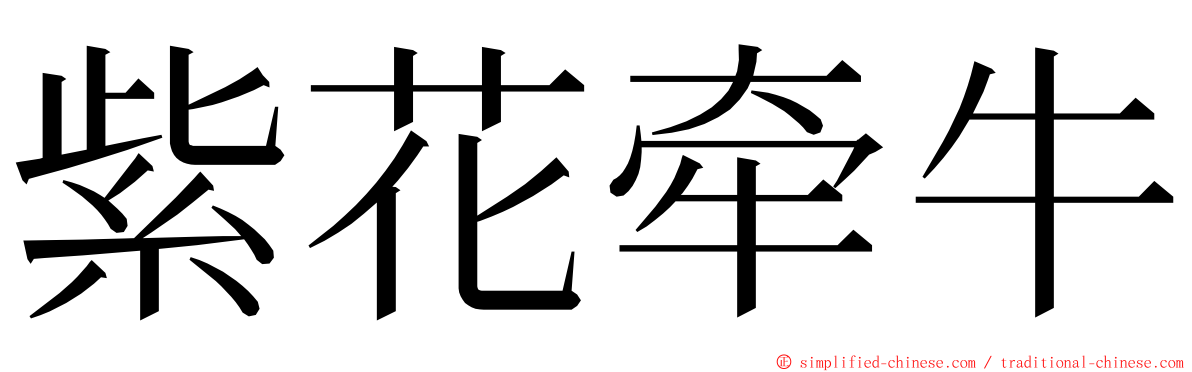 紫花牵牛 ming font