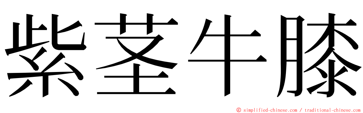 紫茎牛膝 ming font