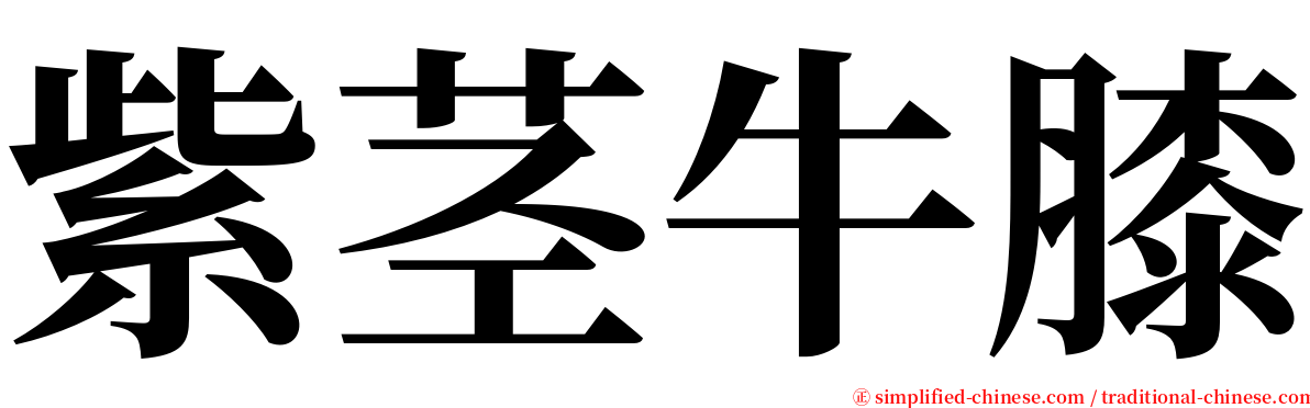 紫茎牛膝 serif font