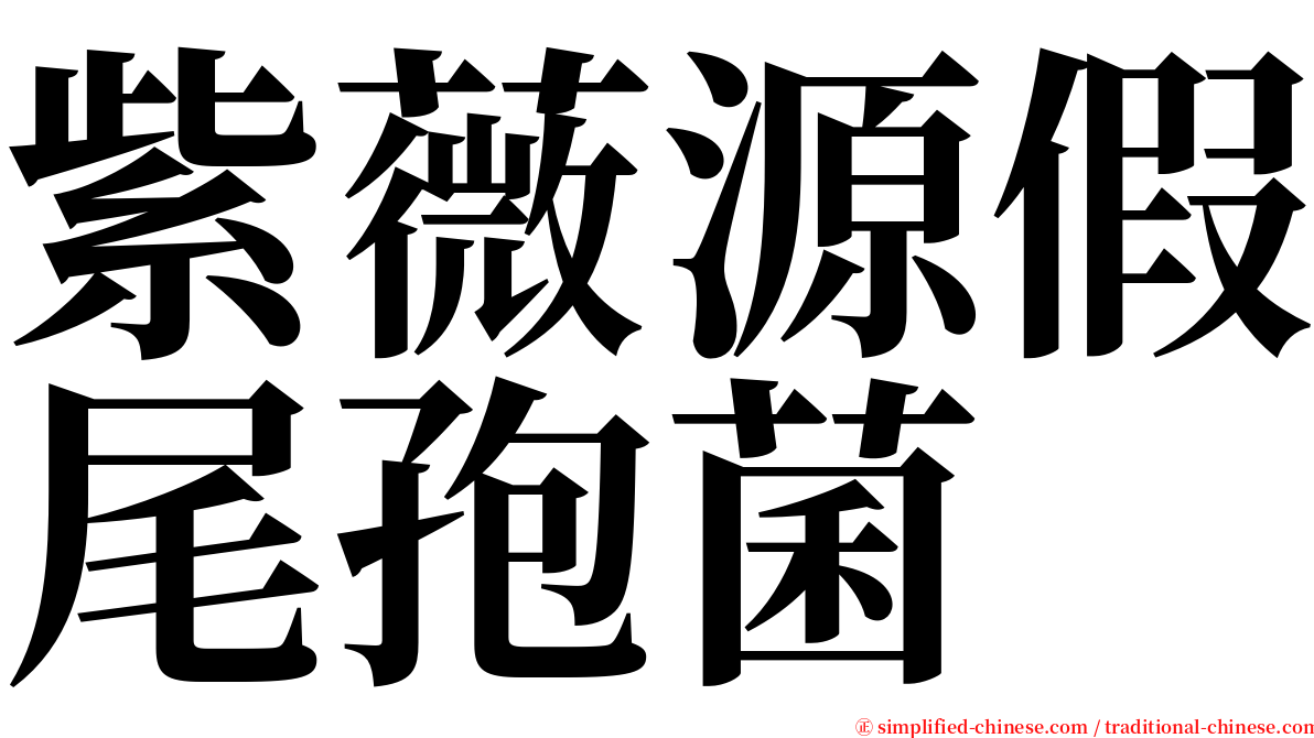 紫薇源假尾孢菌 serif font