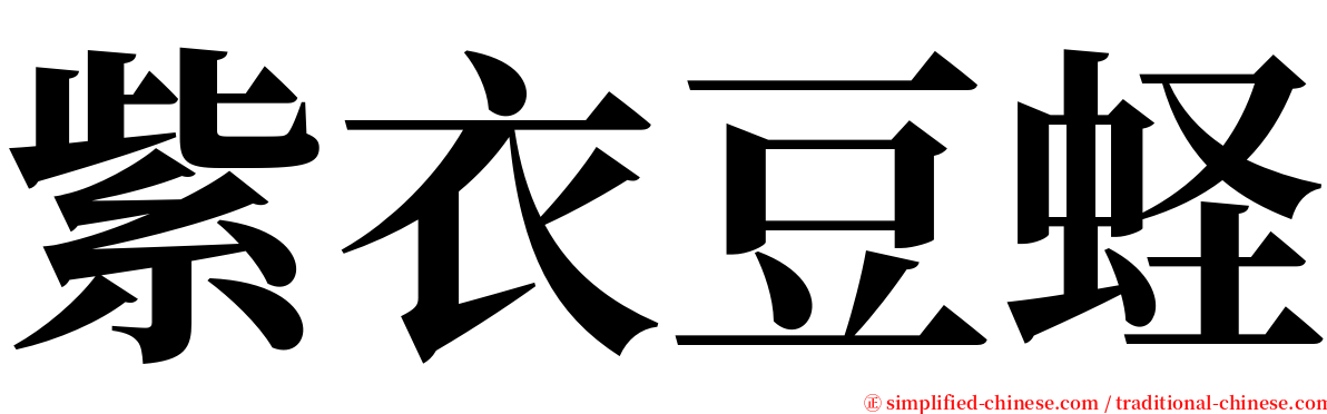 紫衣豆蛏 serif font