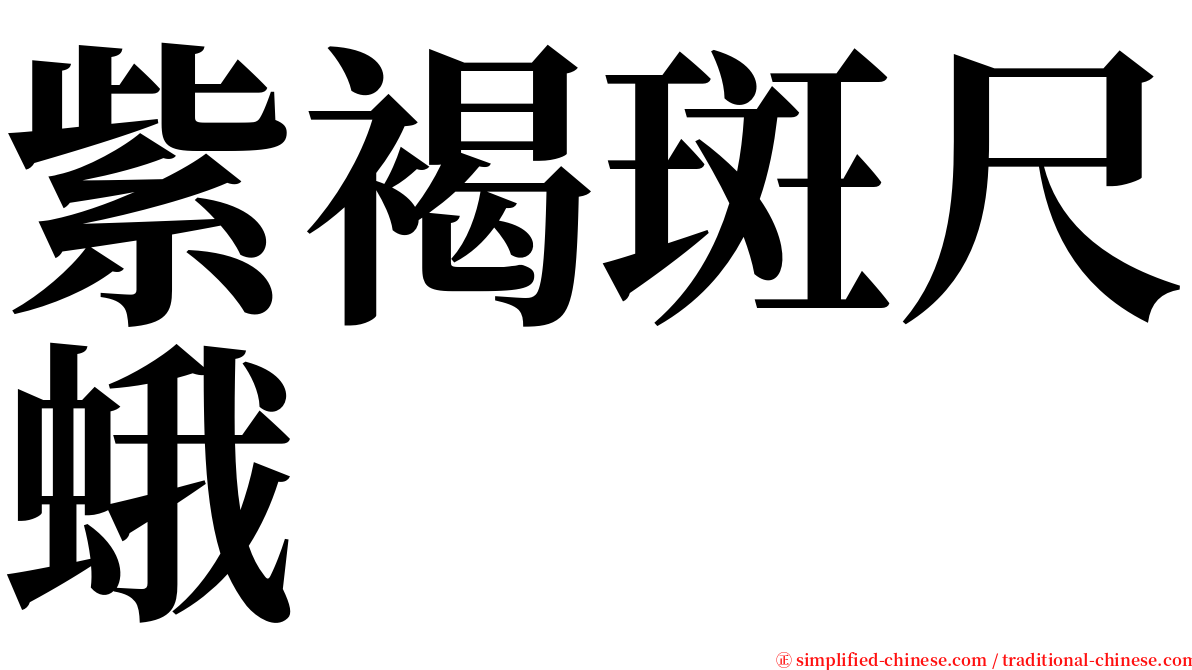 紫褐斑尺蛾 serif font