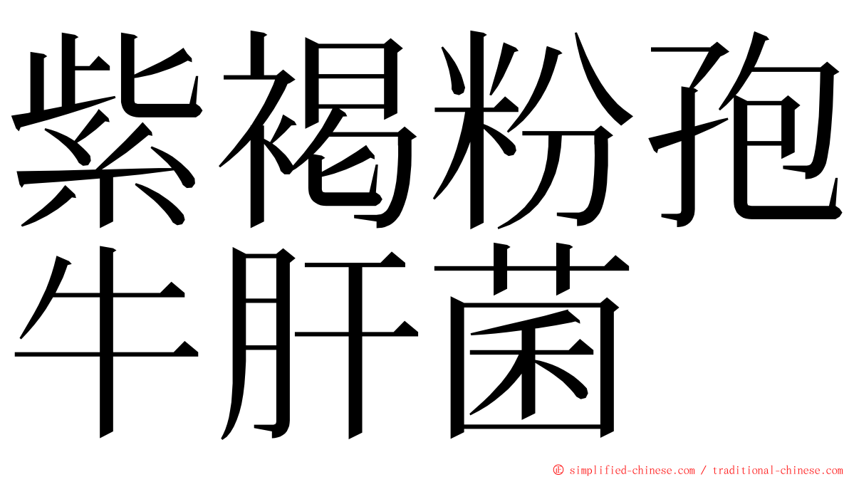 紫褐粉孢牛肝菌 ming font