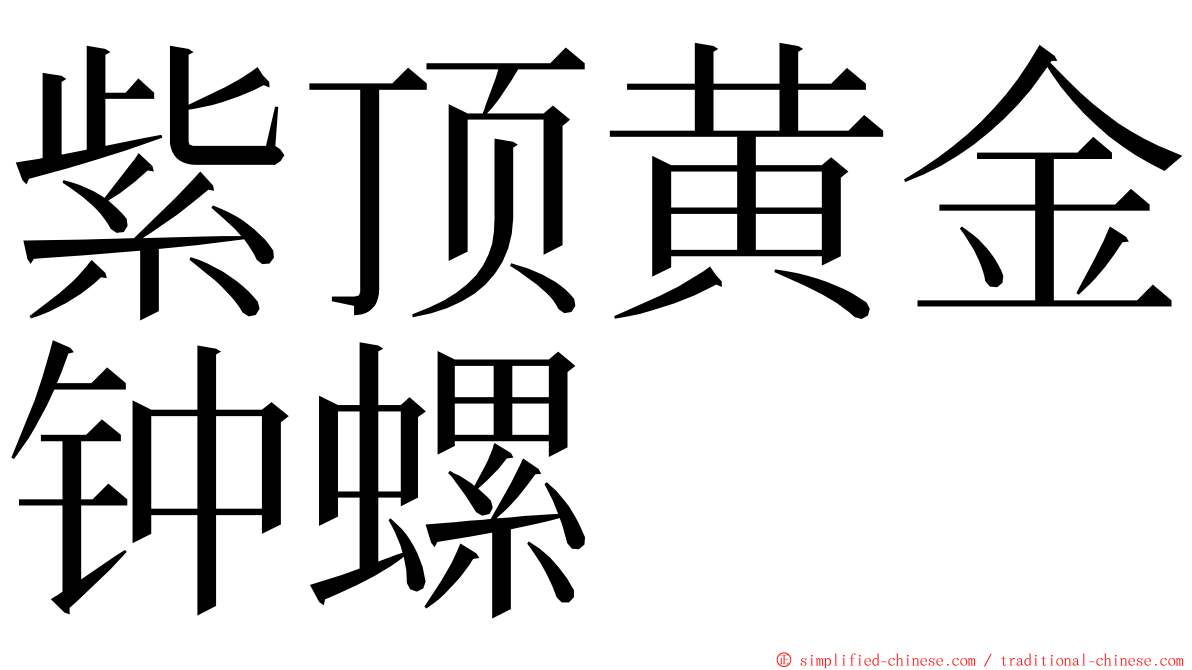 紫顶黄金钟螺 ming font