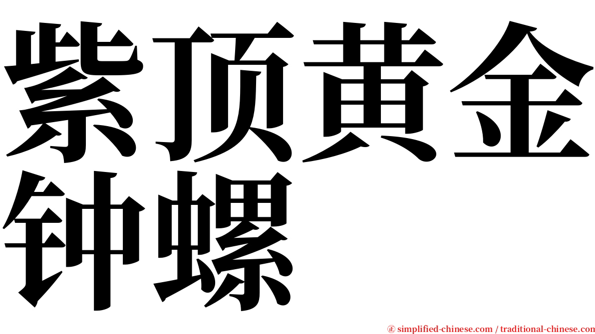 紫顶黄金钟螺 serif font