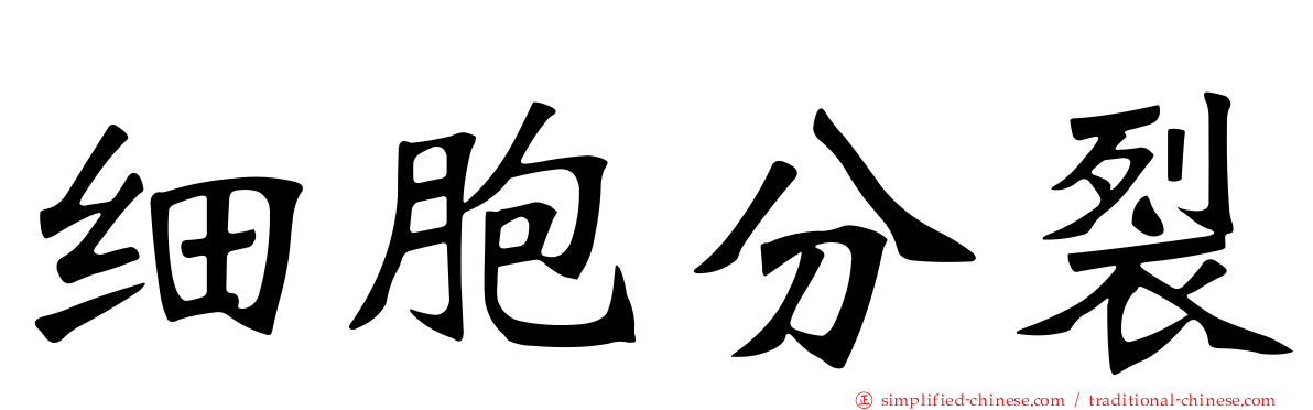 细胞分裂