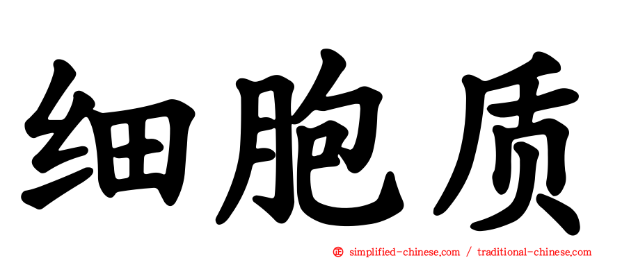 细胞质