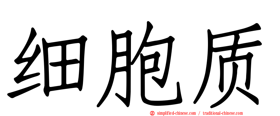 细胞质