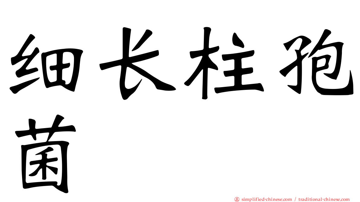 细长柱孢菌
