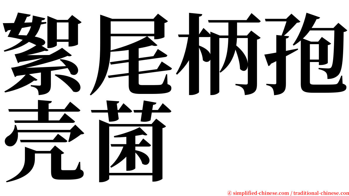 絮尾柄孢壳菌 serif font