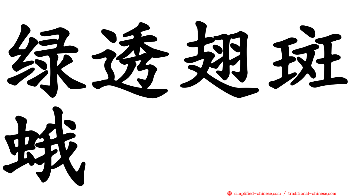 绿透翅斑蛾