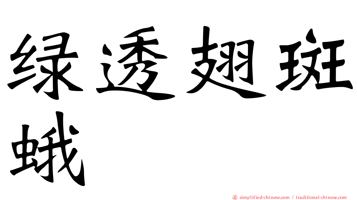 绿透翅斑蛾