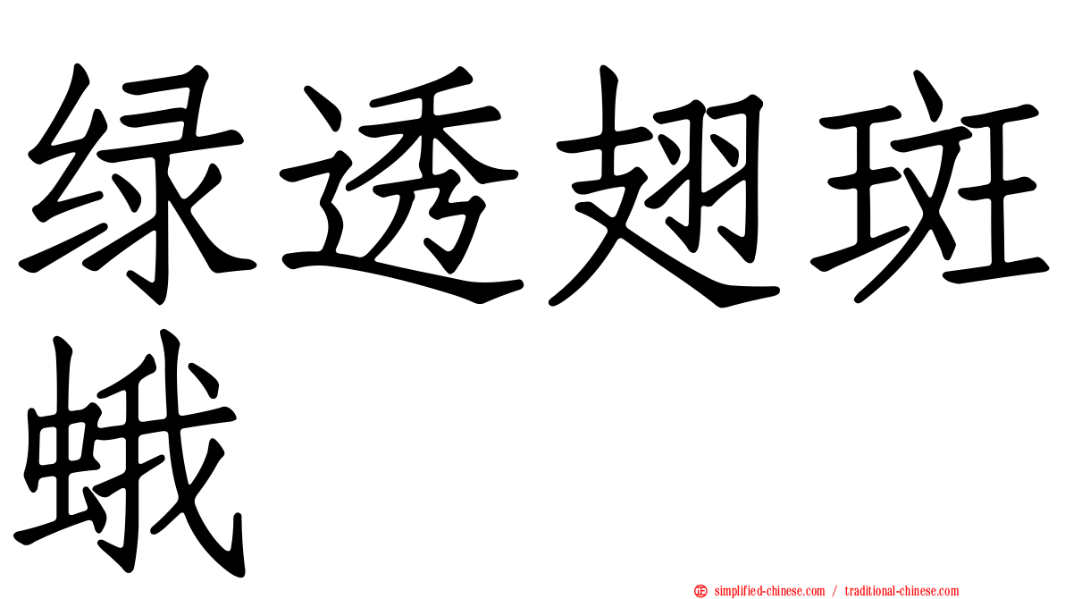 绿透翅斑蛾