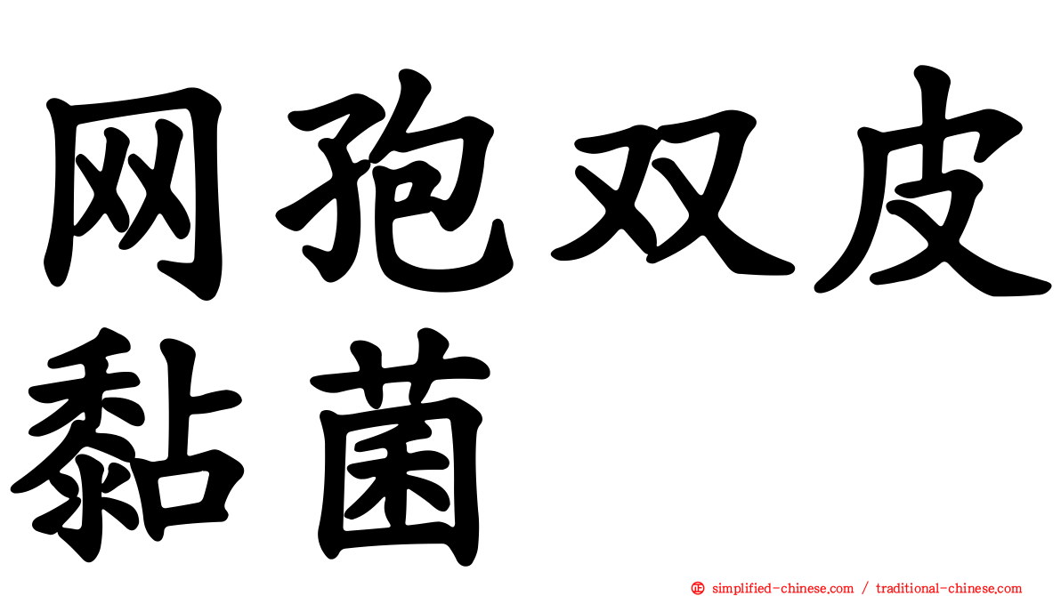 网孢双皮黏菌