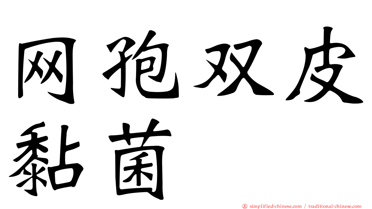 网孢双皮黏菌