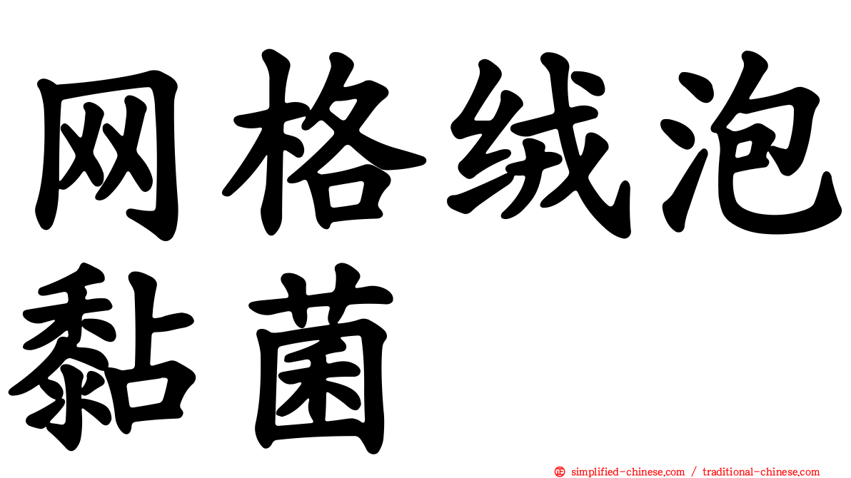 网格绒泡黏菌