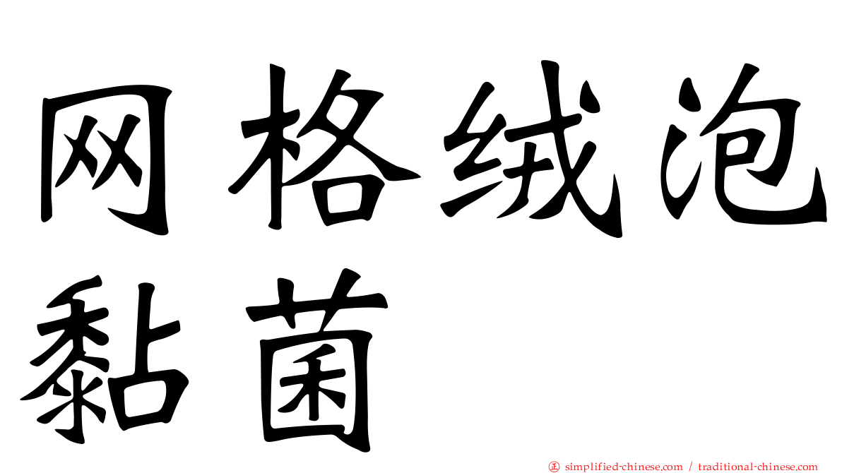 网格绒泡黏菌