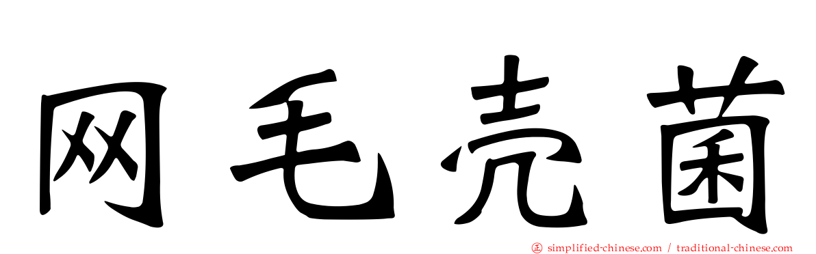 网毛壳菌