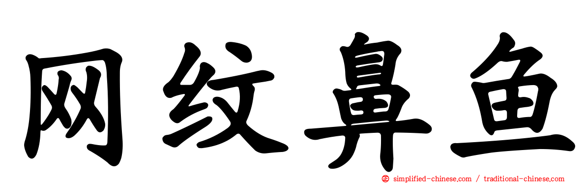 网纹鼻鱼