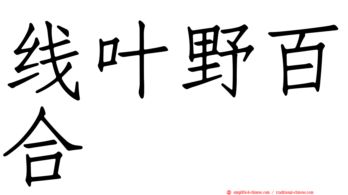 线叶野百合