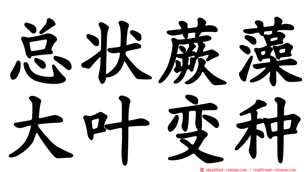 总状蕨藻大叶变种