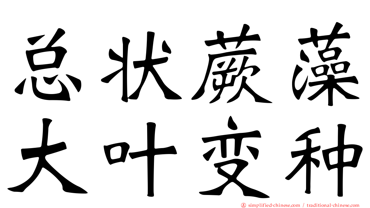 总状蕨藻大叶变种